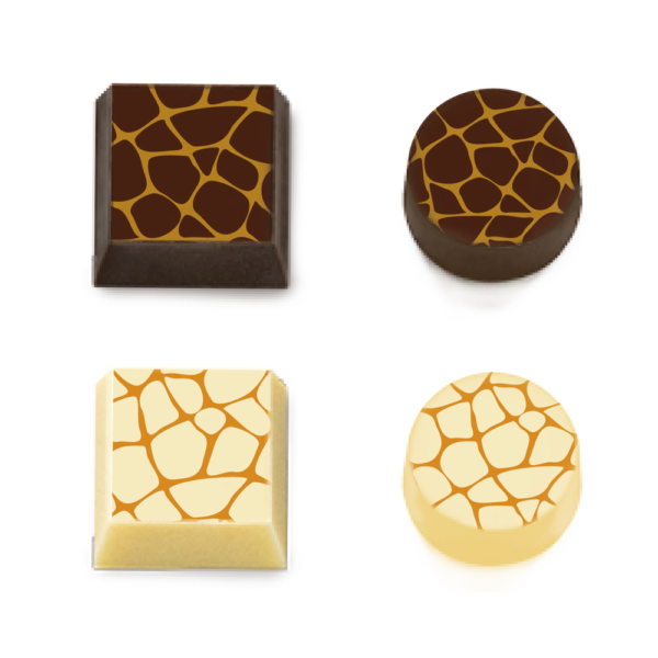 F028876 (1)